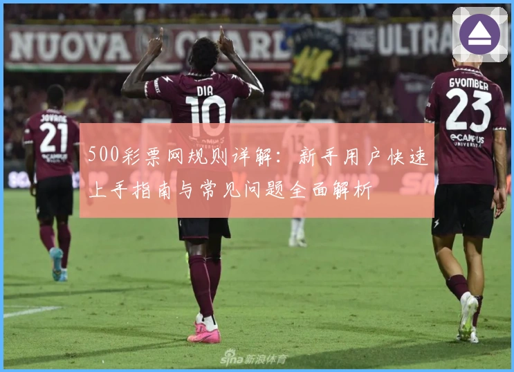 500彩票网规则详解：新手用户快速上手指南与常见问题全面解析